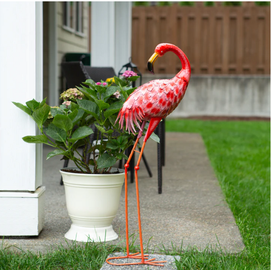 Bright Standing Flamingo Looking Back