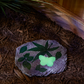 Butterfly Glowing Stepping Stone