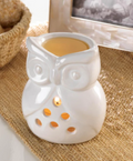 Charming Owl Oil Warmer