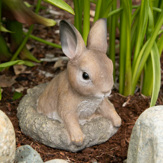 Curious Bunny Garden Decor