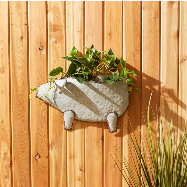 Pig Galvanized Wall Planter