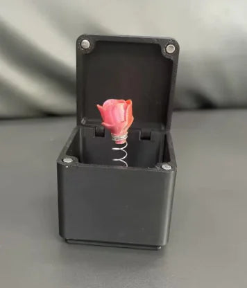 Office Desk Decoration